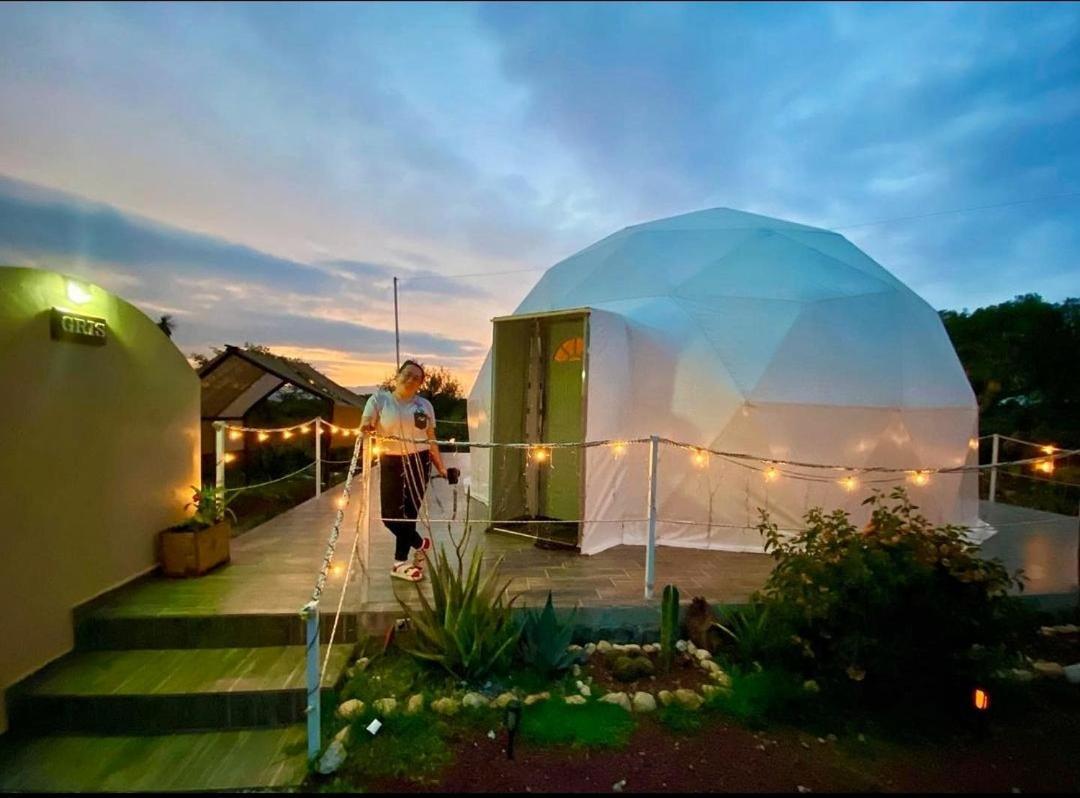 El Gato Glamping Con Vista A Prismas Basalticos Hotell Huasca de Ocampo Eksteriør bilde
