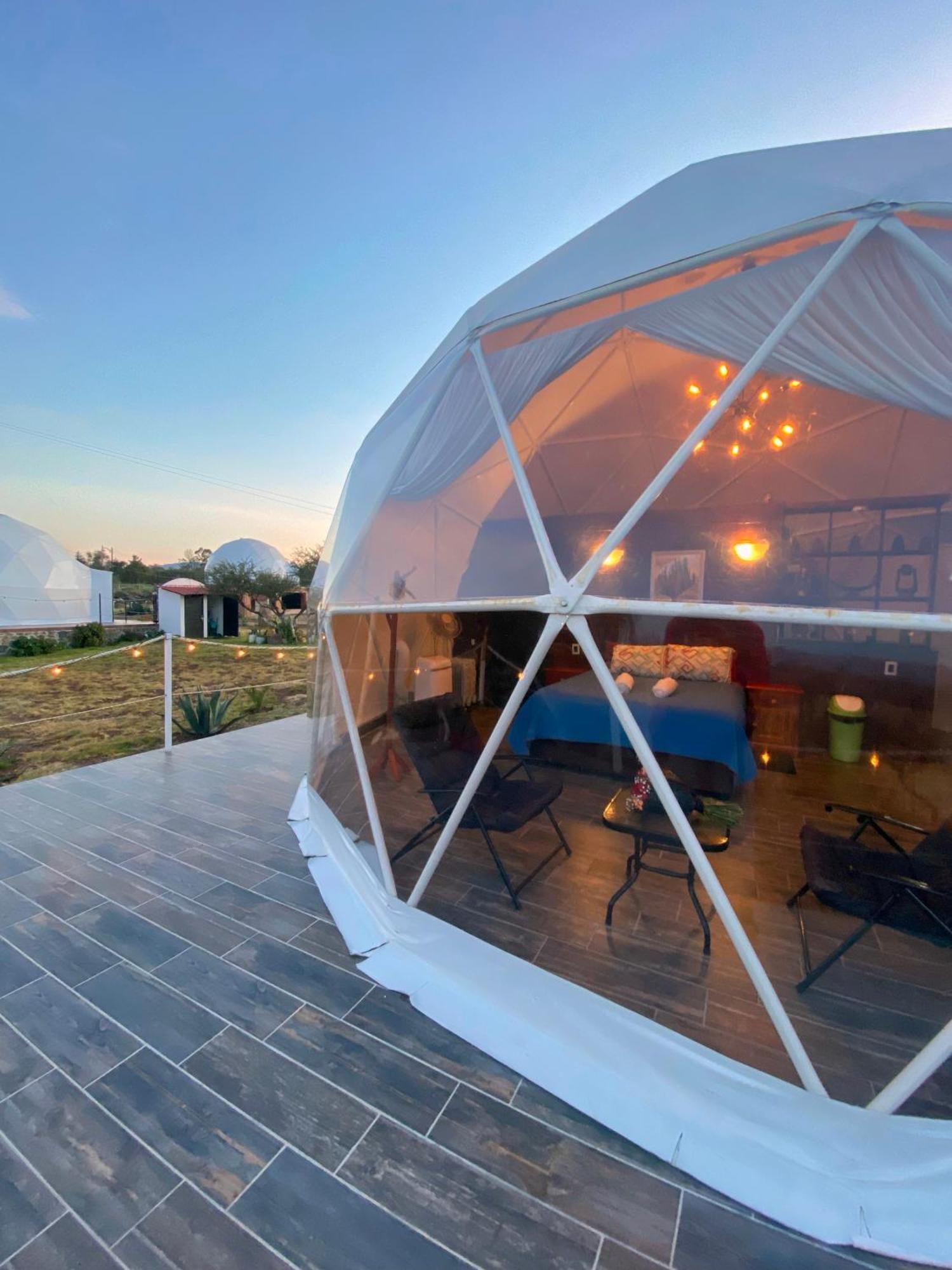 El Gato Glamping Con Vista A Prismas Basalticos Hotell Huasca de Ocampo Eksteriør bilde