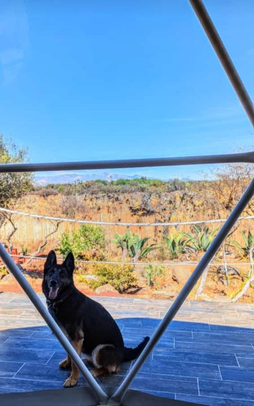El Gato Glamping Con Vista A Prismas Basalticos Hotell Huasca de Ocampo Eksteriør bilde