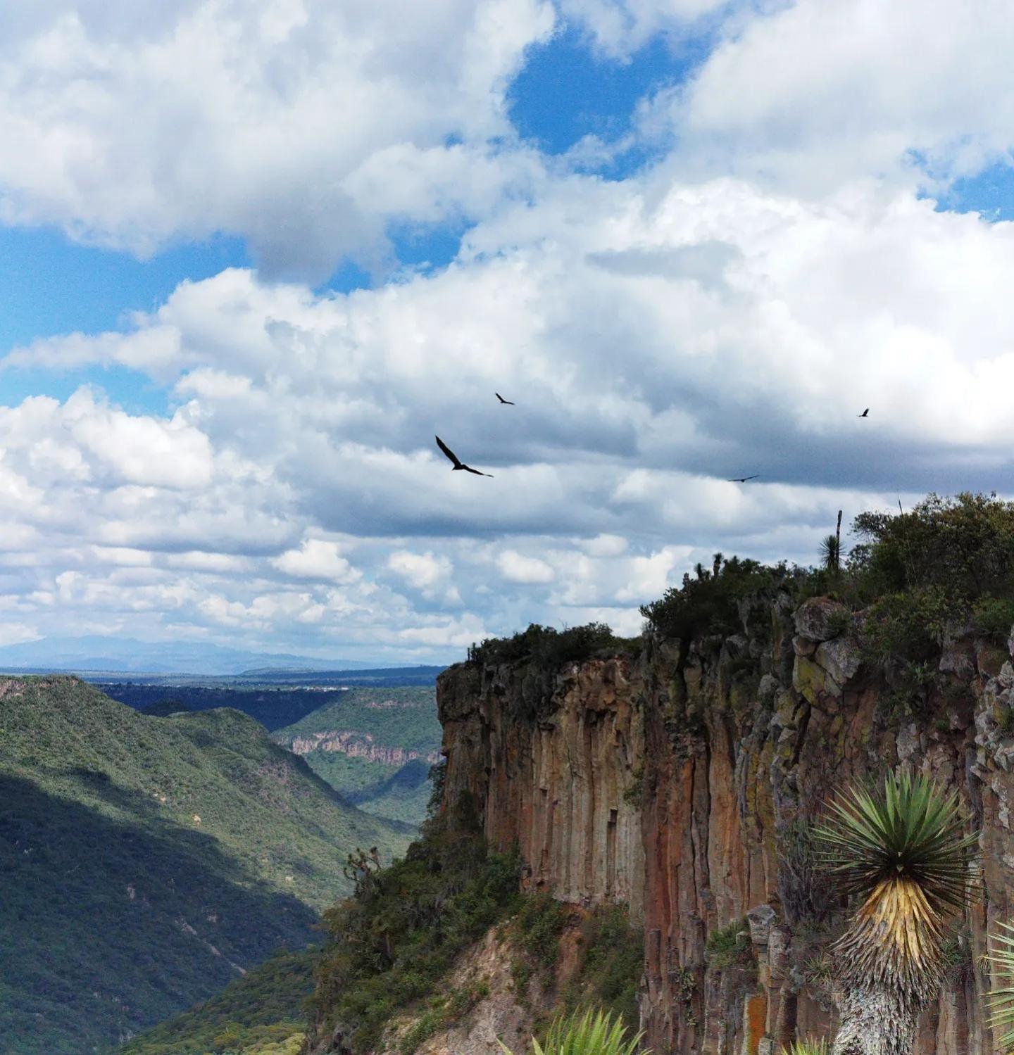 El Gato Glamping Con Vista A Prismas Basalticos Hotell Huasca de Ocampo Eksteriør bilde